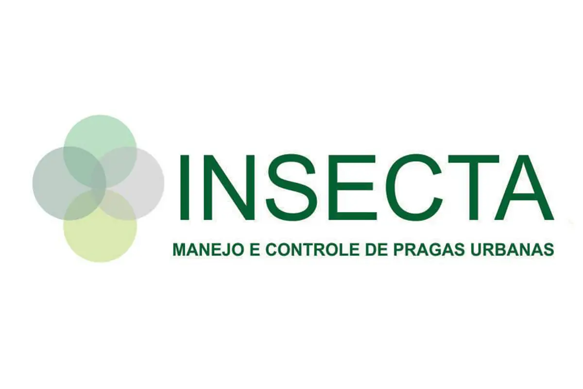 insecta